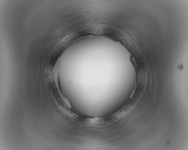 X0000093460092200710261030