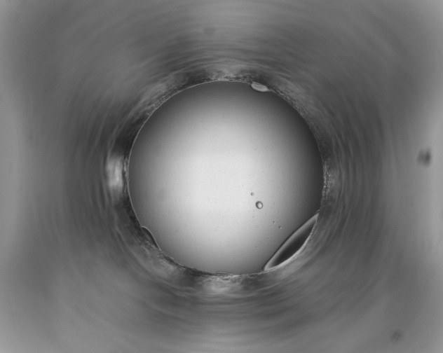 X0000093460094200710261030