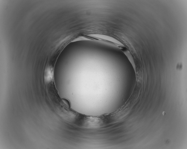 X0000093460095200710261030