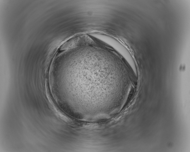 X0000093460097200710261029