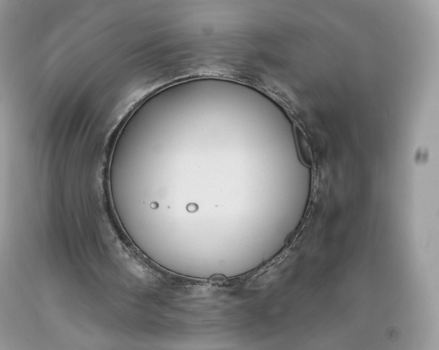 X0000093460098200710261029