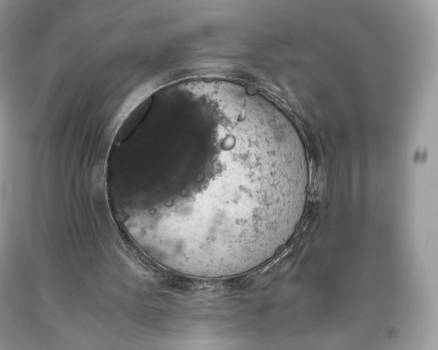 X0000093460099200710261029