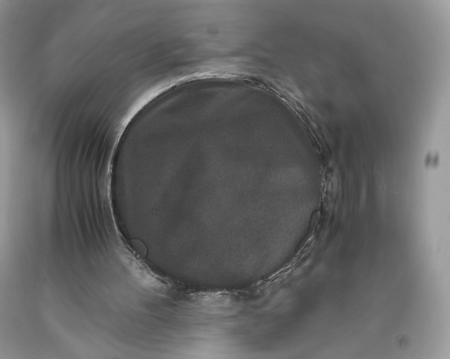 X0000093460100200710261029