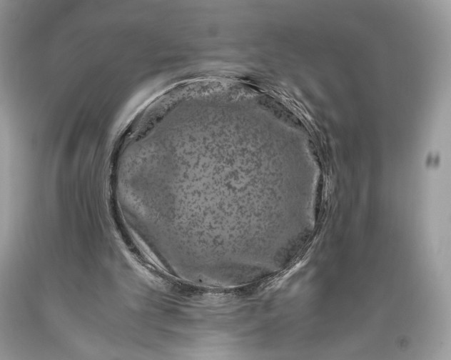 X0000093460101200710261029