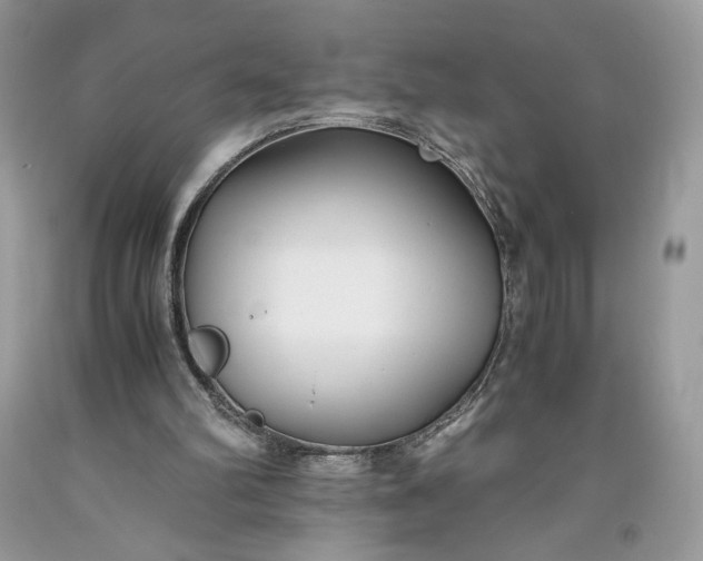 X0000093460102200710261029