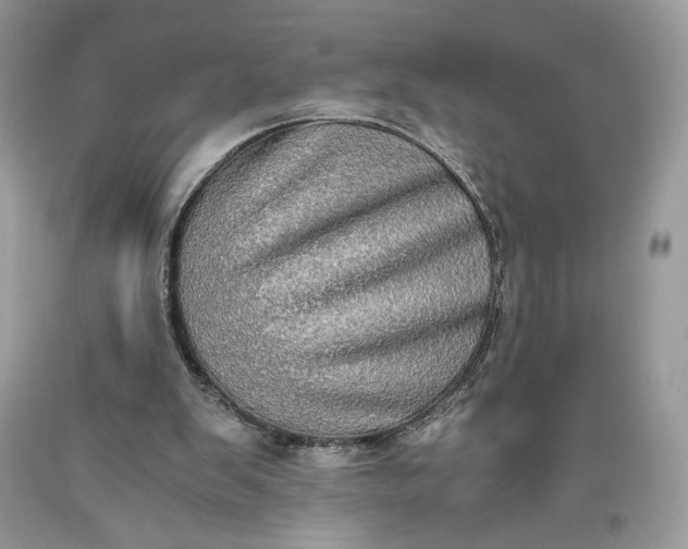 X0000093460103200710261029