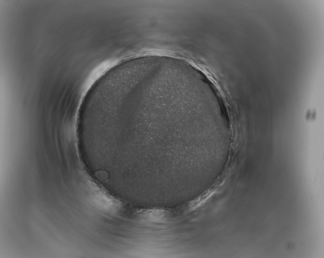 X0000093460104200710261029