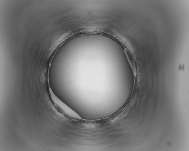 X0000093460105200710261029