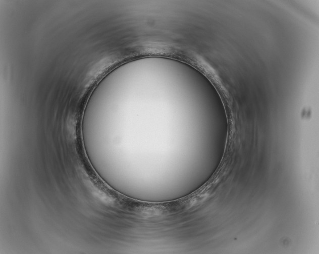 X0000093460106200710261029