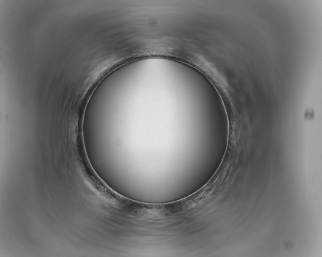 X0000093460107200710261029