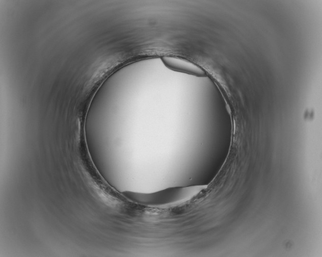 X0000093460109200710261029