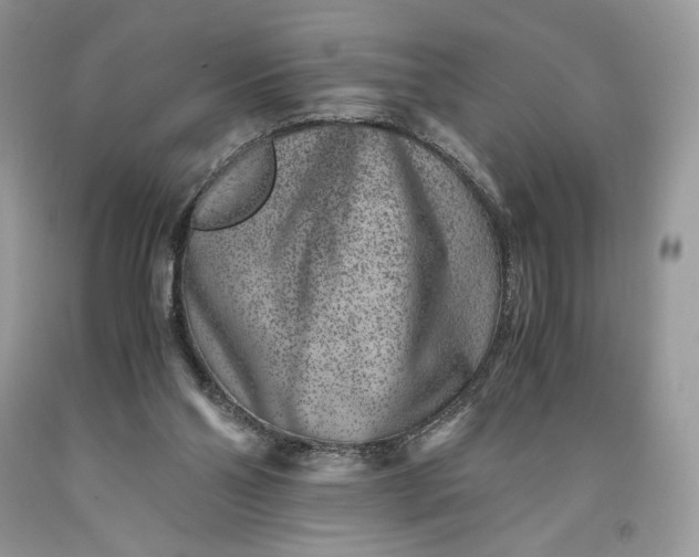 X0000093460110200710261029