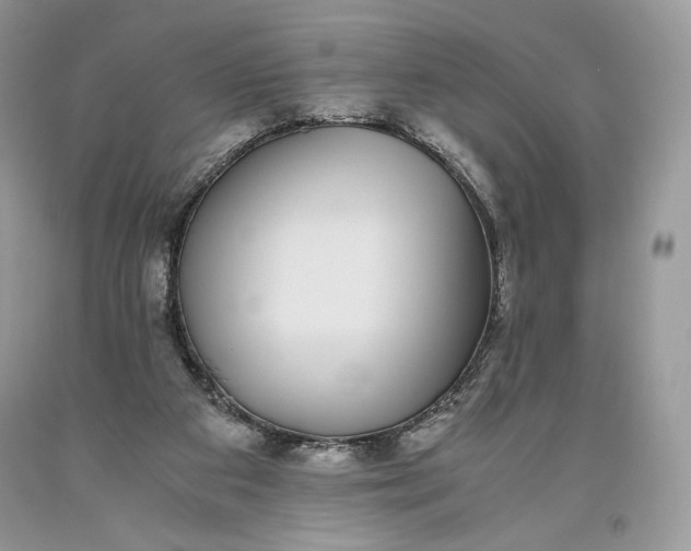 X0000093460113200710261029