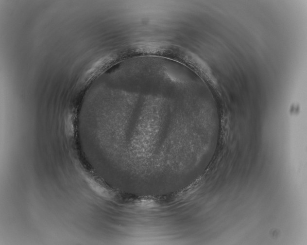 X0000093460114200710261029