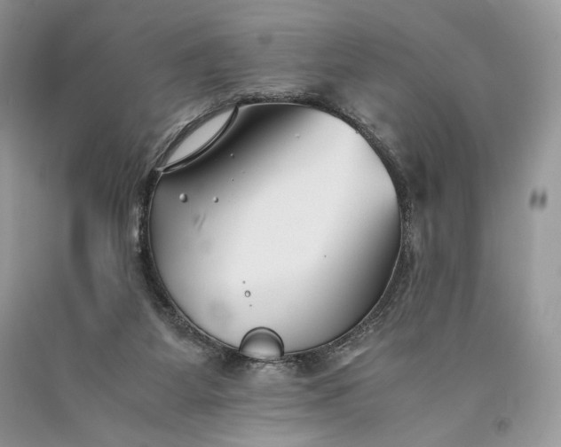 X0000093460115200710261029