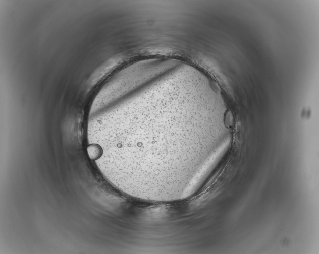 X0000093460116200710261029