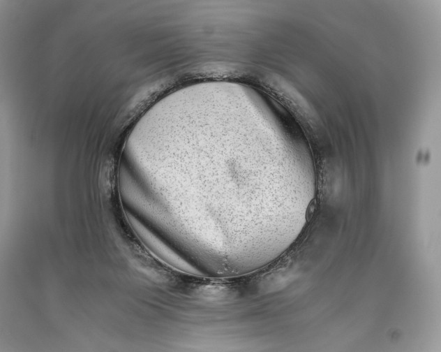 X0000093460119200710261029