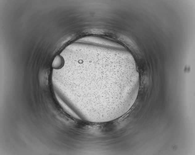 X0000093460120200710261029