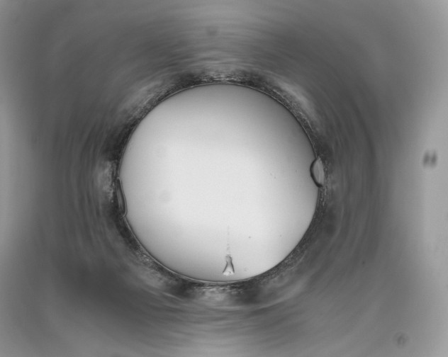 X0000093460121200710261029