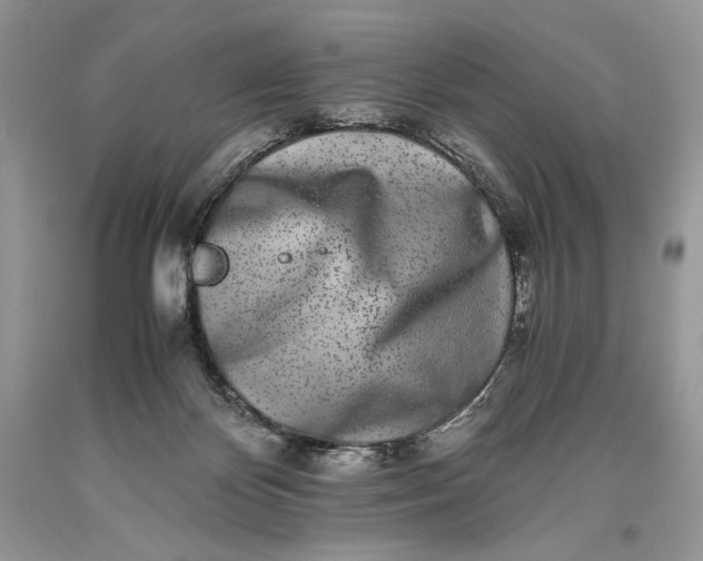 X0000093460124200710261029