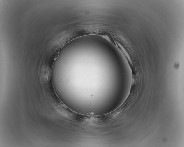 X0000093460125200710261029