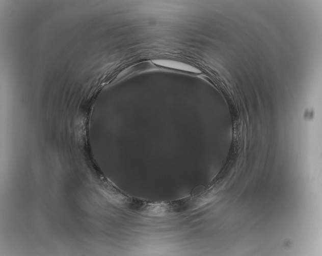 X0000093460127200710261029