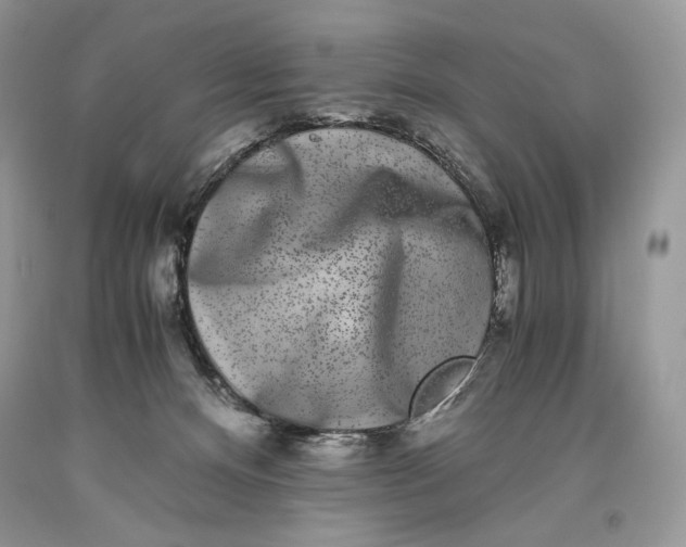 X0000093460128200710261029