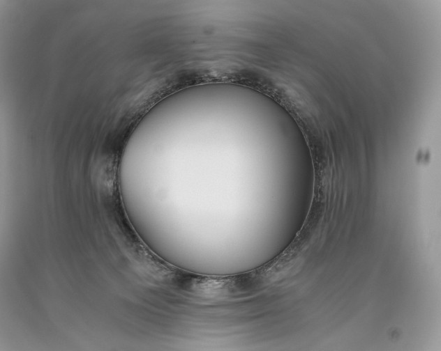 X0000093460129200710261029