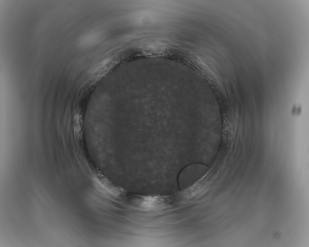 X0000093460130200710261029