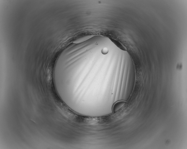 X0000093460131200710261029