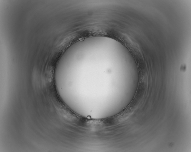 X0000093460133200710261029