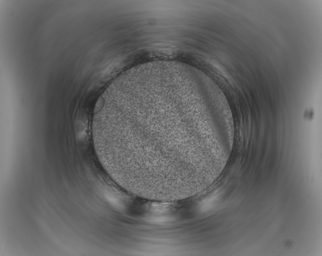 X0000093460134200710261029