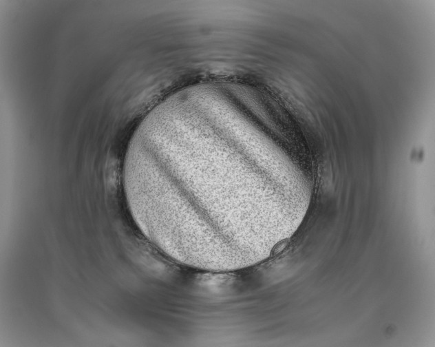 X0000093460135200710261029