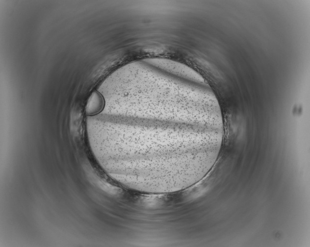 X0000093460136200710261029