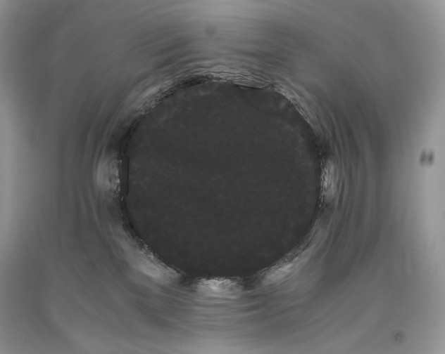 X0000093460137200710261029