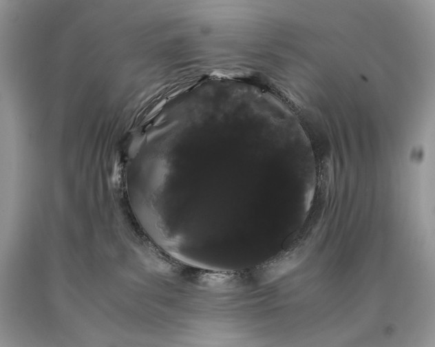 X0000093460139200710261029