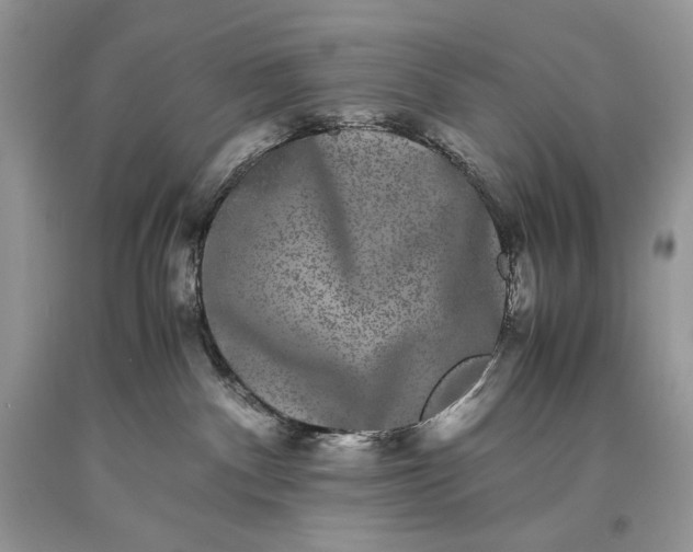 X0000093460140200710261029