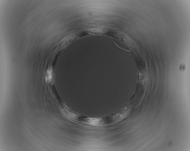 X0000093460143200710261029