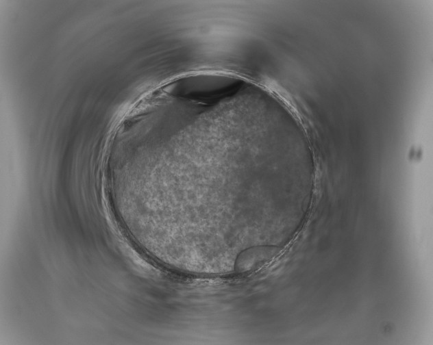 X0000093460145200710261028