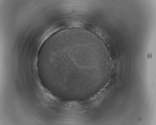 X0000093460146200710261028