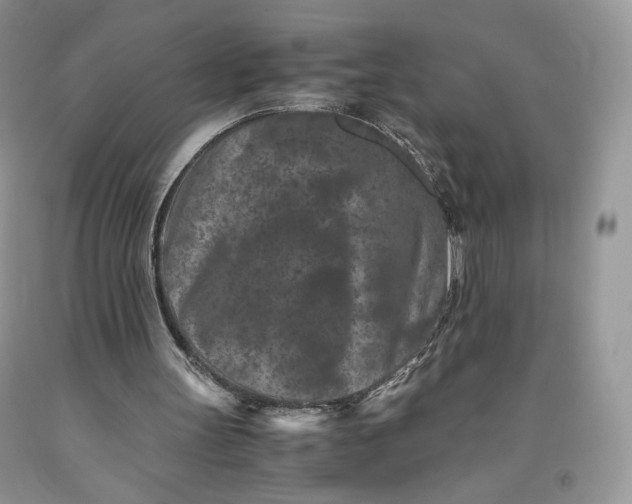 X0000093460147200710261028