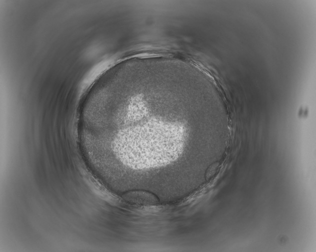 X0000093460149200710261028