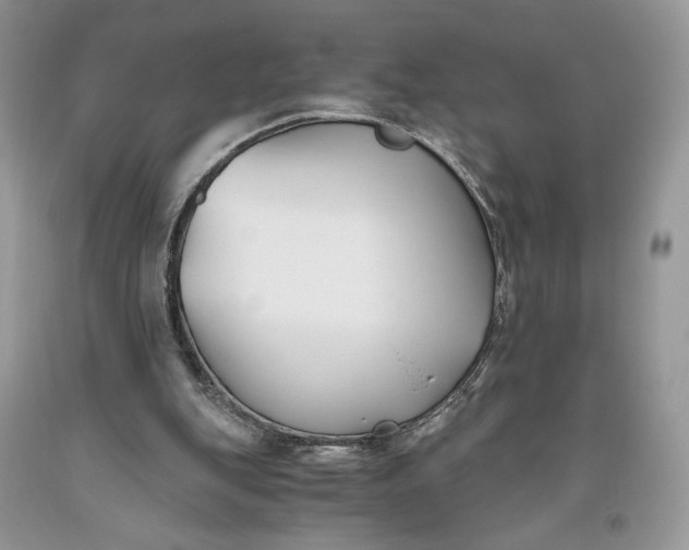 X0000093460151200710261028