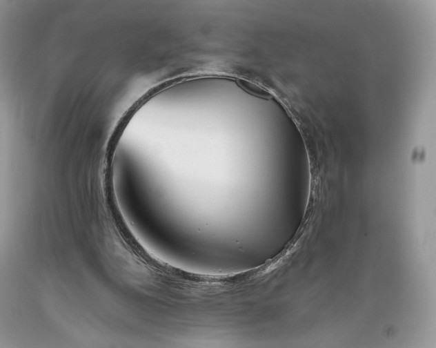 X0000093460152200710261028