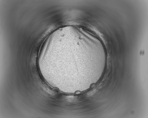 X0000093460153200710261028