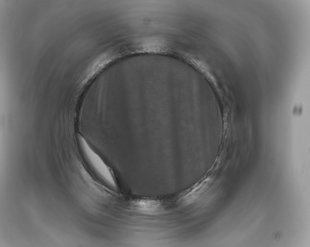 X0000093460154200710261028