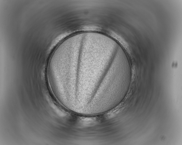 X0000093460155200710261028