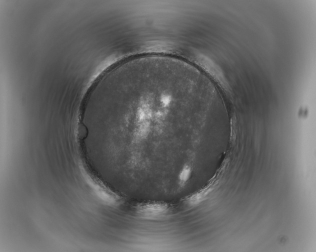 X0000093460156200710261028