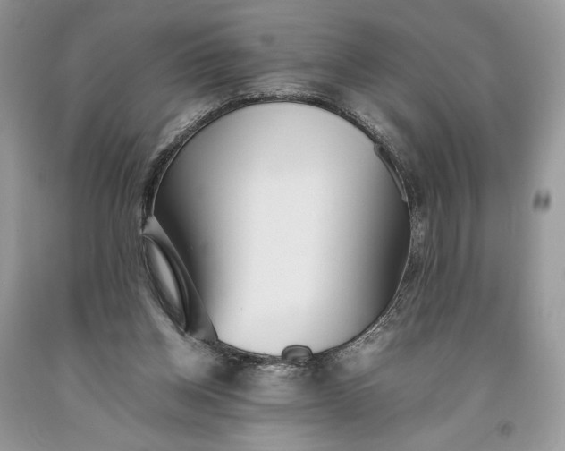 X0000093460158200710261028