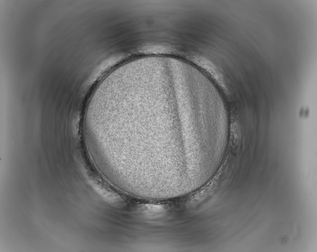 X0000093460159200710261028